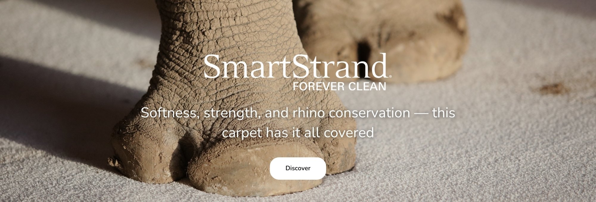 Shop Mohawk SmartStrand Flooring Products